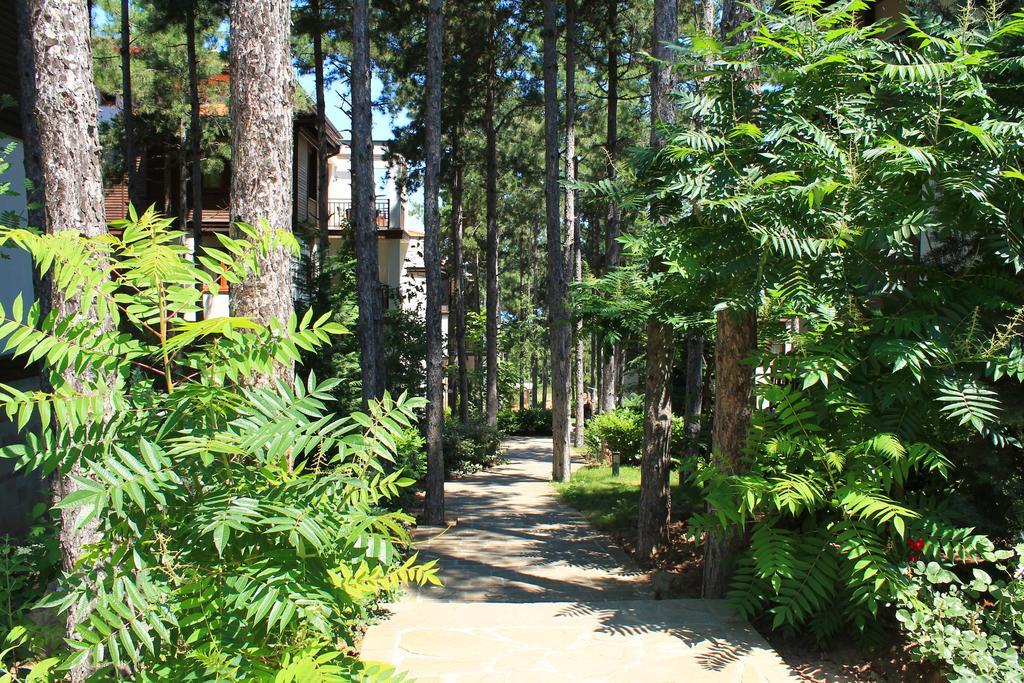 Apartments Dreambg Sozopol Rum bild